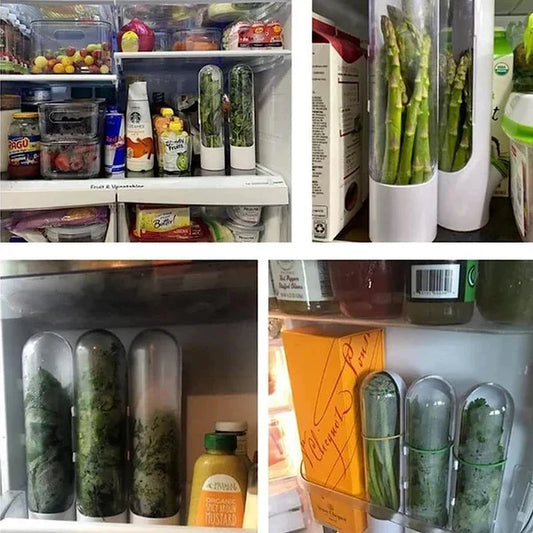 Herb Saver Storage Container – Premium Quality Fresh Herb Keeper